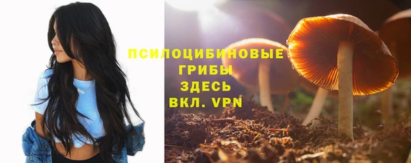 mix Алексеевка