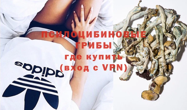 гидра Сосновый Бор
