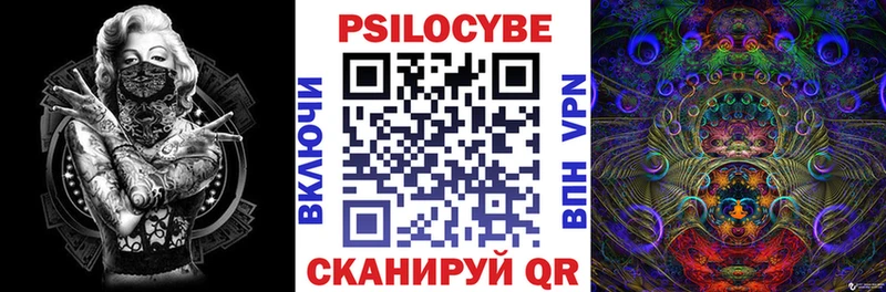 МЕГА как войти  Аша  Галлюциногенные грибы Cubensis 