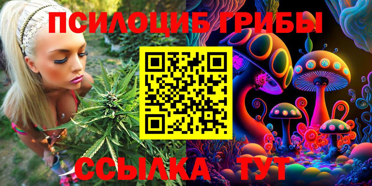 Галлюциногенные грибы прущие грибы  Вход с VPN  Аша 